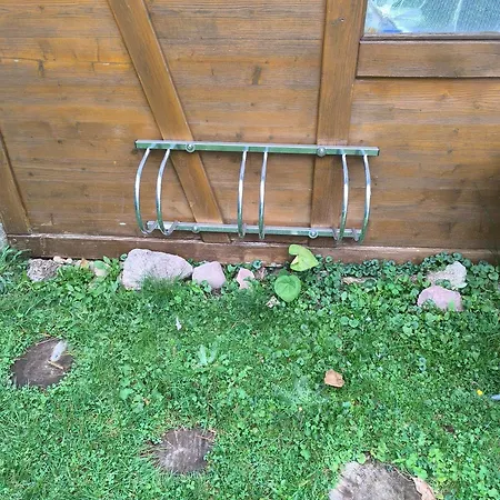 Waldblick * Schluchsee