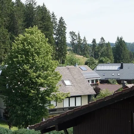 Waldblick