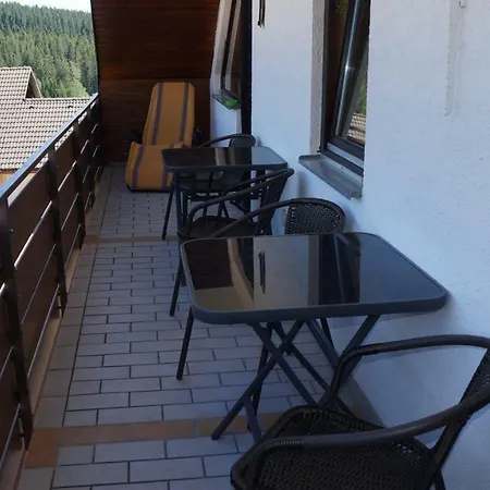 Waldblick Schluchsee