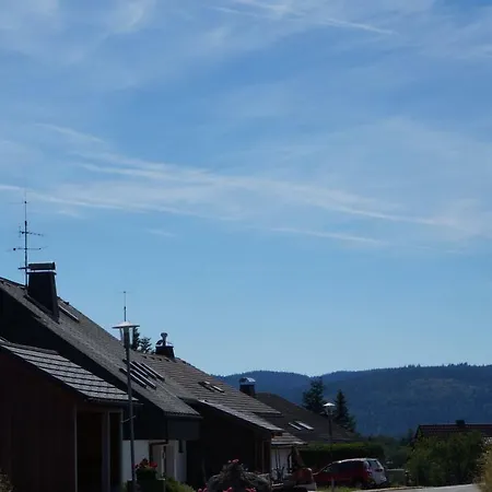 Waldblick Schluchsee