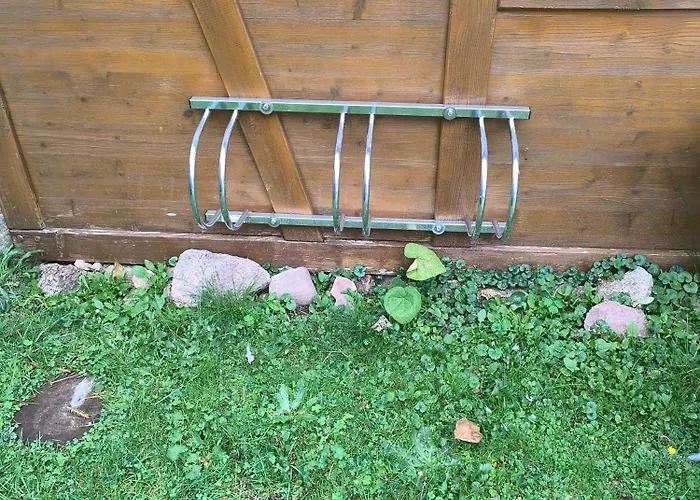 Waldblick * Schluchsee