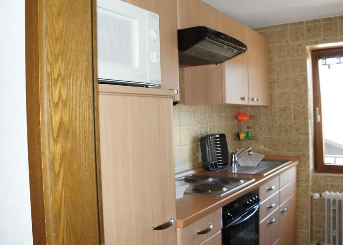 Waldblick * Schluchsee