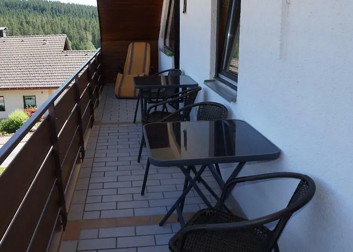 Waldblick Schluchsee