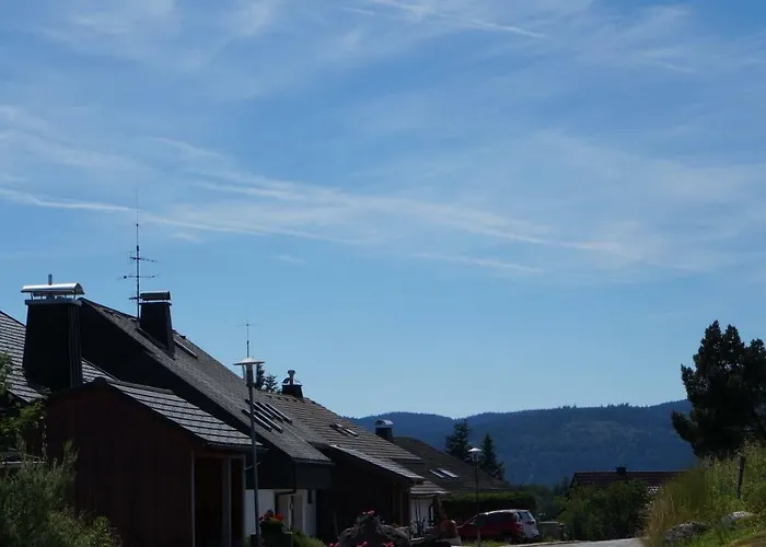 Waldblick Schluchsee