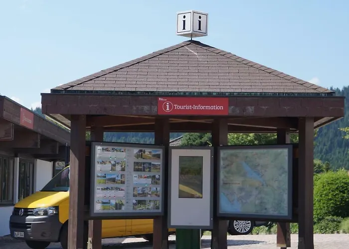 Waldblick * Schluchsee